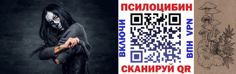 блэк спрут вход  Бор  Псилоцибиновые грибы мицелий  наркотики 